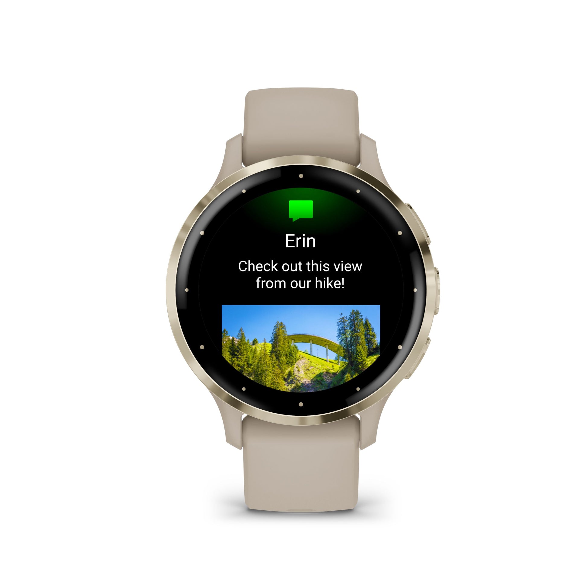 Venu 3s - French Gray & Soft Gold con cinturino in silicone-Orologi-GARMIN-Gioielleria Granarelli